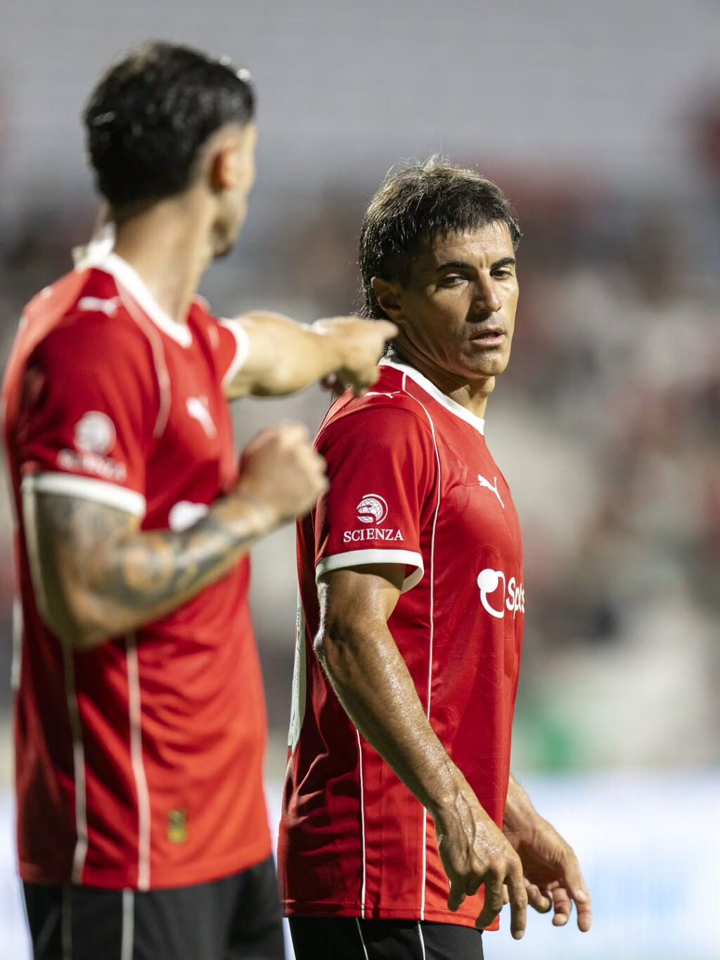 ¿Qué les parece_(HEIC)